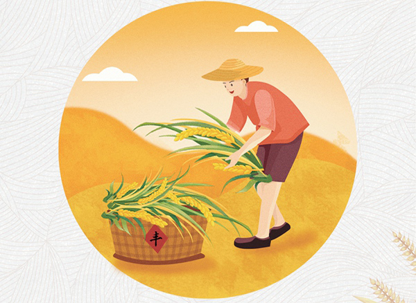 新版《党政机关厉行节约反对浪费条例》出台